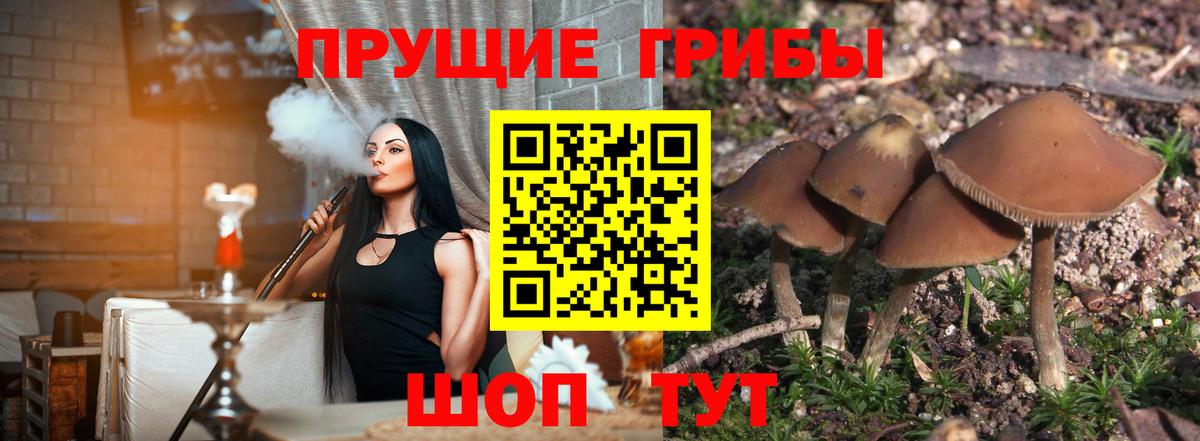 Псилоцибиновые грибы Cubensis  Галлюциногенные грибы мухоморы  Вход с VPN  Рузаевка 
